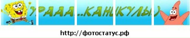 Дмитрик Мартин фотография #1