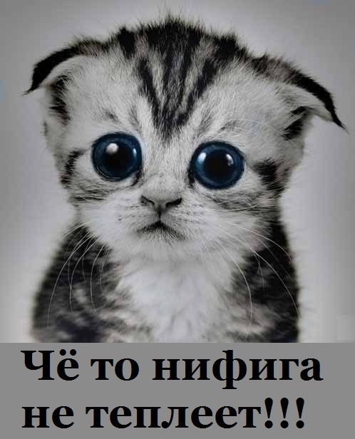 Наталья Сухарева фотография #23