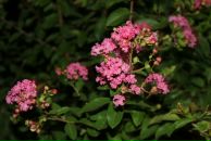 Тимур Бабаев фотография #26 (источник - https://vk.com/id2496859)