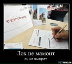 Іван Халамендик фотография #21 (источник - https://vk.com/id15329116)