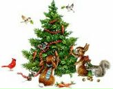 Фотография Юрченко Екатерины