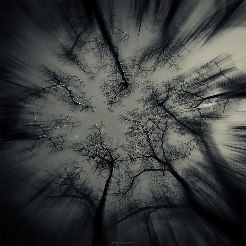 Ринас Север фотография #5