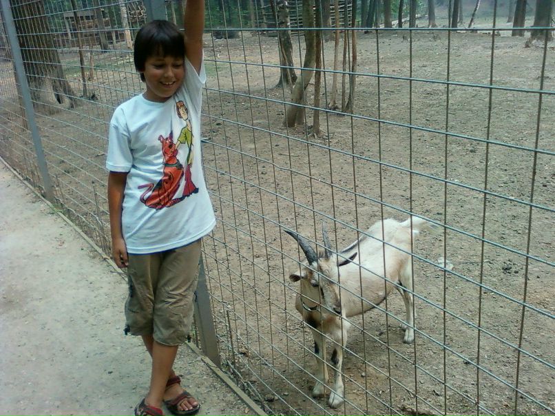 Илья Дмитриев фотография #5