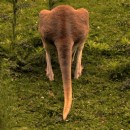 А Ломов фотография #6 (источник - https://vk.com/id96545300)