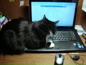 Фотография Таировой Динары