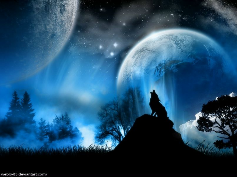 Михаил Валеев фотография #40