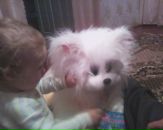 Люда Корнійчук фотография #14 (источник - https://vk.com/id83799683)