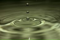 Фотография Zaitsev Leonid