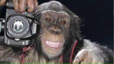 Фотография Гарбузова-Моисеева Ирина