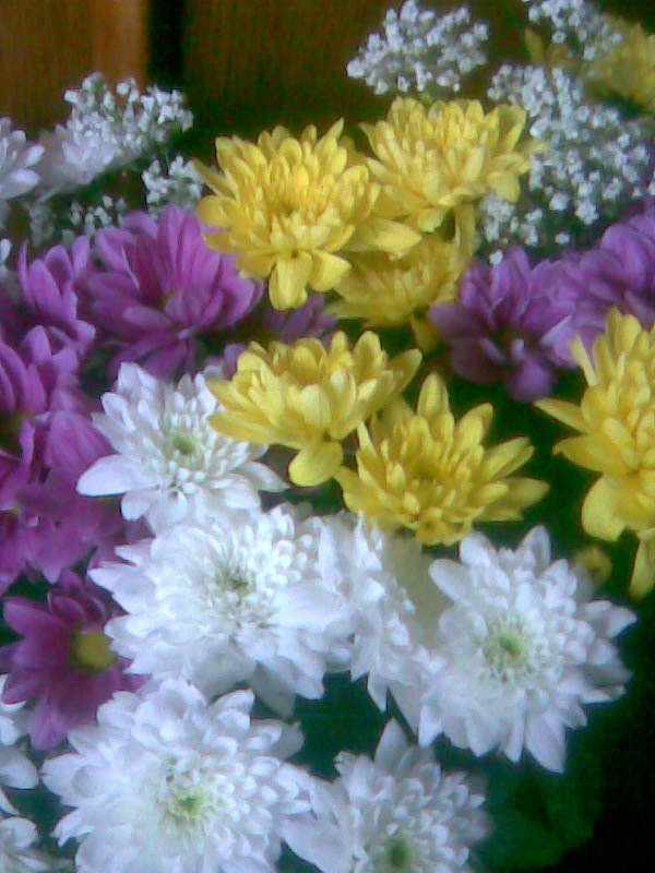 Софья Горяинова фотография #49