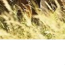 Володимир Якимів фотография #17 (источник - https://vk.com/id68115801)