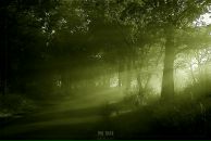 Фотография Грачёвой Юли