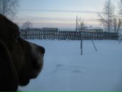 Фотография Ревенок-Тимофеевой Екатерины