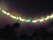 Фотография Лисы Екатерины