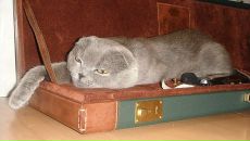 Main Event фотография #35 (источник - https://vk.com/id536653)