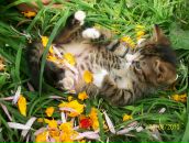 Іннуся Ануфрієва фотография #1