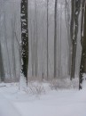 Вася Сірий фотография #11 (источник - https://vk.com/id70227408)