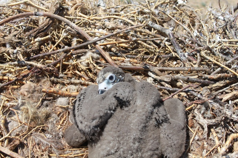 Эдуард Беденко фотография #2