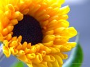 Лесик Кушнір фотография #15 (источник - https://vk.com/id69058200)