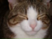 Ася Дранко фотография #7 (источник - https://vk.com/id80286035)