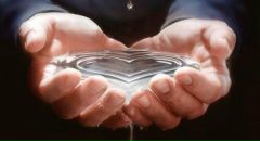 Фотография Шеловановой Ирины