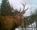 Міша Юріна фотография #12 (источник - https://vk.com/id70576909)