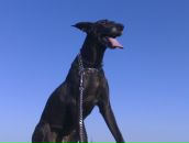 Фотография Куликовой Нины