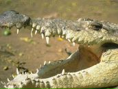 Андрій Твердий фотография #5 (источник - https://vk.com/id45360805)