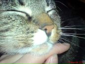 Надежда Тимофеева фотография #48 (источник - https://vk.com/id4454893)