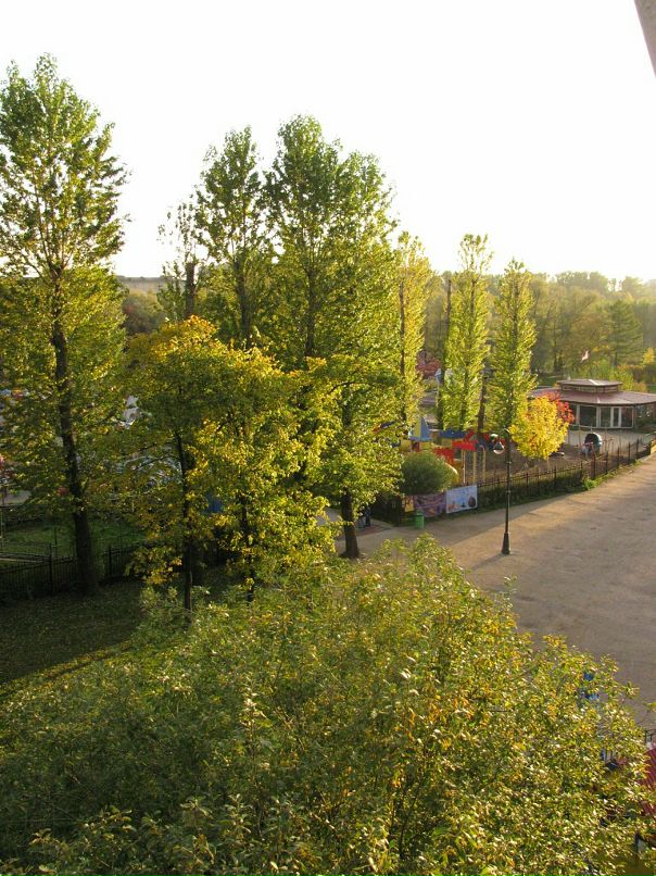 Евгений Сергеев фотография #42