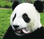 Фотография Ненахова Жени