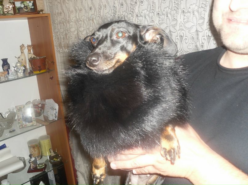 ...н@т@лья... ************** фотография #12