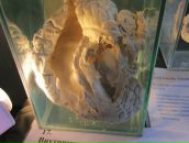 Любава Субботина фотография #30 (источник - https://vk.com/id69171592)