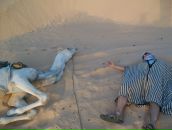 Фотография Косарева Сергея