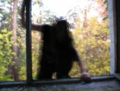 Фотография Николаевна Ольга