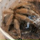 Фотография Ишкова Сергея