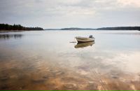 Олексій Гапонідзе фотография #24 (источник - https://vk.com/id20295178)