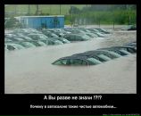 Дима Катаев фотография #46 (источник - https://vk.com/id12897255)