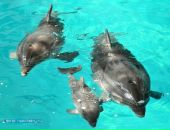 Фотография Ерёмкина-Крюгера Андрея