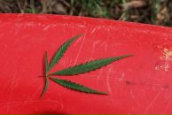 Фотография Чепрасова Даниила