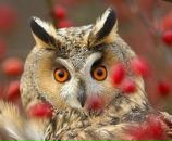 Фотография Александровны Светланы