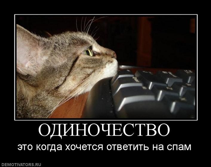 Константин Свиридонов фотография #14