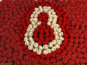 Фотография Звонцовой Любови