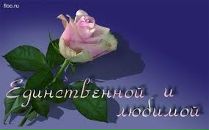 Андрій Сидор фотография #44 (источник - https://vk.com/id9298261)