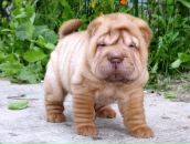 Фотография Класс Рабочий