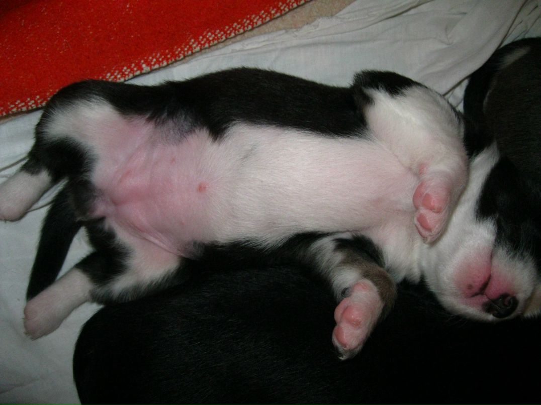 Станислав Стас фотография #39