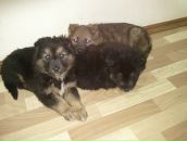 Фотография Шляковой Марии