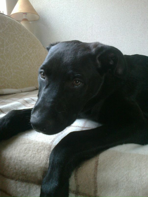 Анна Кельбах фотография #34