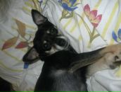 Фотография Белозерцевой Елены