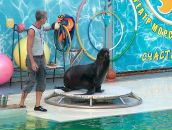 Юля Камінська фотография #39 (источник - https://vk.com/id68986702)